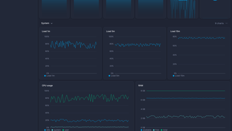 Screenshot of dashboard template